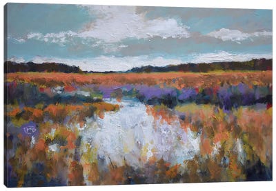 Fall Marsh Canvas Art Print - Kip Decker