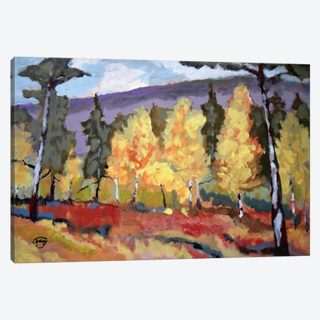 Autumn Trees Canvas Print #KIP5} by Kip Decker Art Print