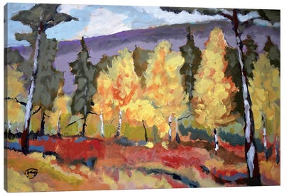 Autumn Trees Canvas Art Print - Kip Decker