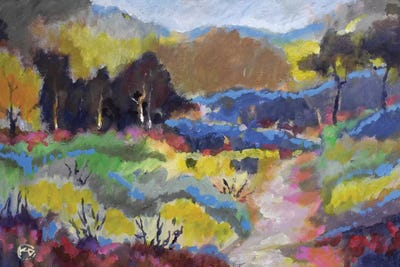 Foothills Trail by Kip Decker art print