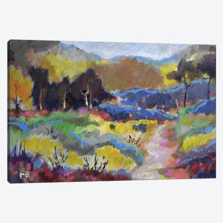 Foothills Trail Canvas Print #KIP61} by Kip Decker Canvas Art