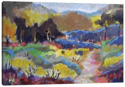 Foothills Trail Canvas Art Print - Kip Decker