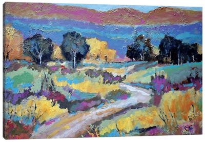 Old Ranch Road Canvas Art Print - Kip Decker