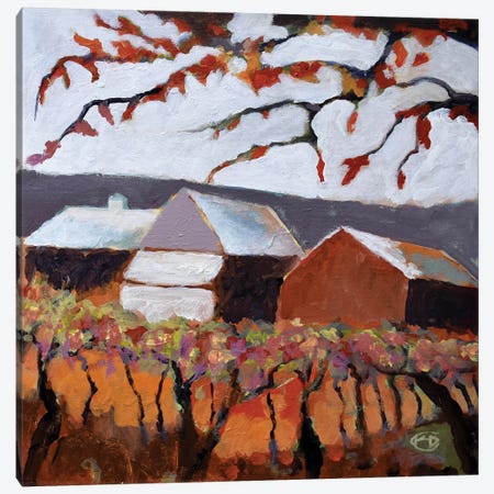 Autumn Vineyard Canvas Print #KIP6} by Kip Decker Art Print