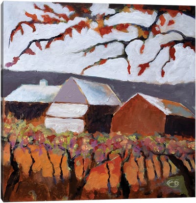 Autumn Vineyard Canvas Art Print - Kip Decker
