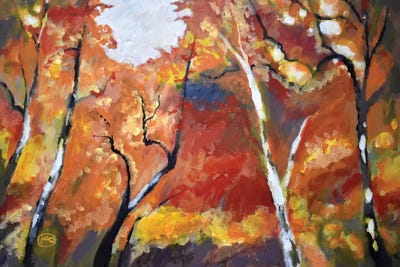 Autumn Woodland by Kip Decker canvas print