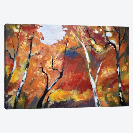 Autumn Woodland Canvas Print #KIP7} by Kip Decker Canvas Print