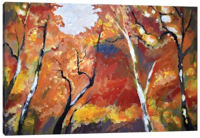 Autumn Woodland Canvas Art Print - Kip Decker