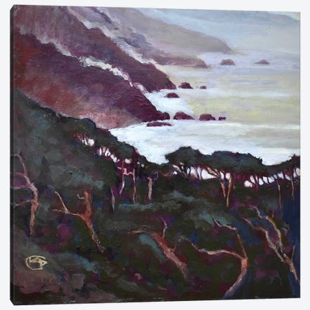 Big Sur Canvas Print #KIP8} by Kip Decker Canvas Art