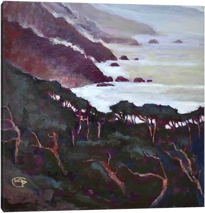Big Sur Canvas Art Print - Kip Decker