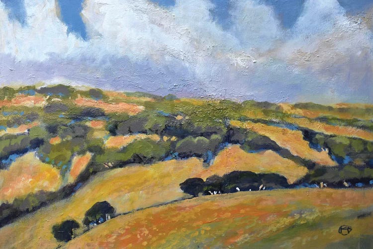 California Hills by Kip Decker wall art