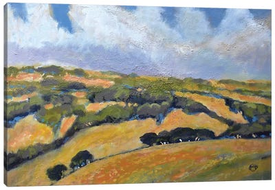 California Hills Canvas Art Print - Hill & Hillside Art