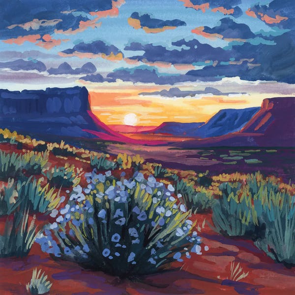 Desert Sunset On Blooming Bush