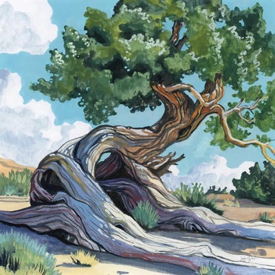 A Tree That Adapts To Change by Kate Jarvik Birch canvas print