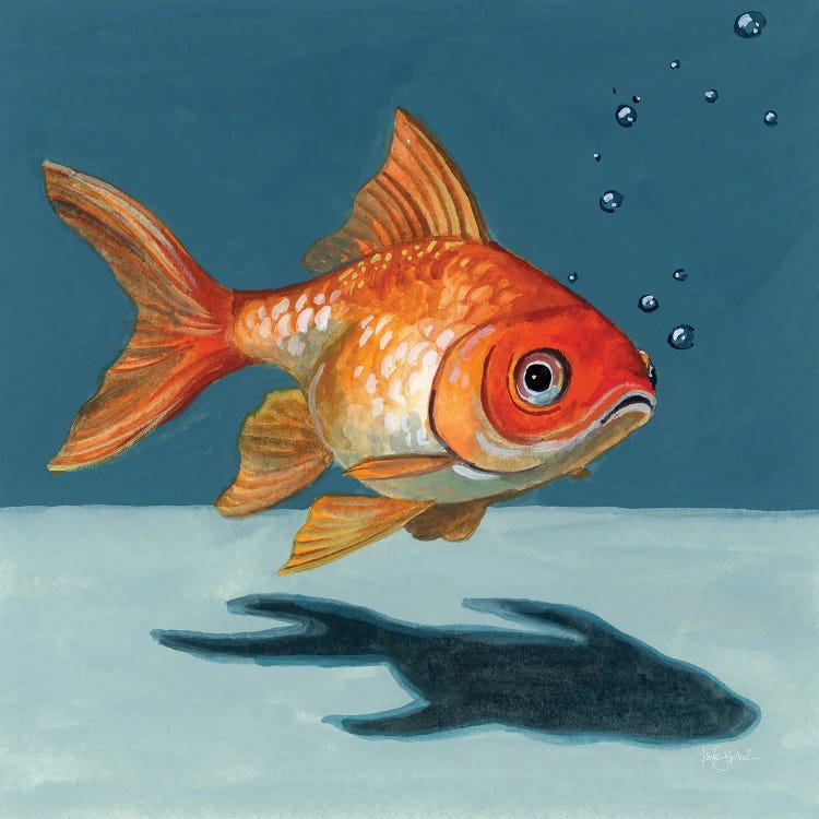 Goldfish Chillin by Kate Jarvik Birch wall art