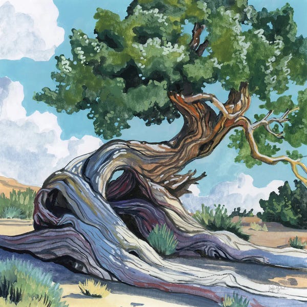 Fine Art Print: A Tree That Adapts To Change by Kate Jarvik Birch