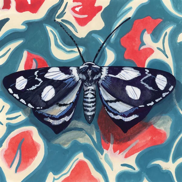 Moths: Moth On Beautiful Wall by Kate Jarvik Birch