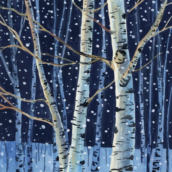 Kate Jarvik Birch: Snowy Birch Grove At Night by Kate Jarvik Birch