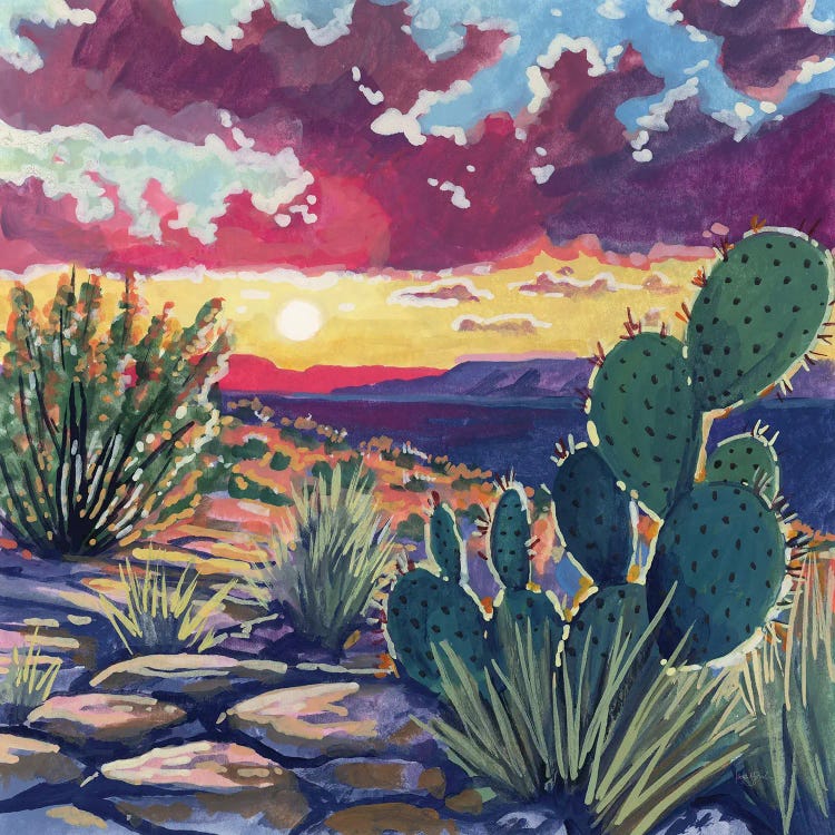 Warm Southwestern Sunset
