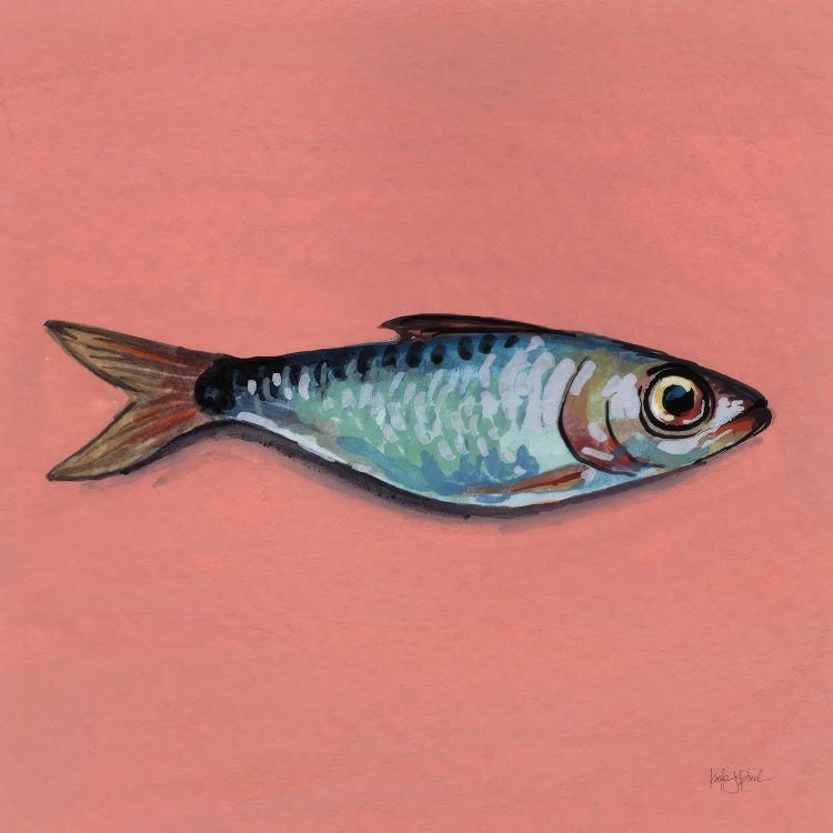 Single Sardine I by Kate Jarvik Birch wall art