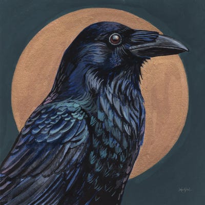 Crow By Golden Moon by Kate Jarvik Birch canvas print