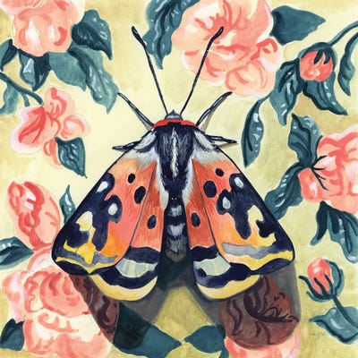 Spring Moth by Kate Jarvik Birch multi panel art