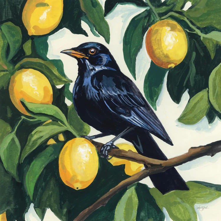 Bird With Lemon Branch by Kate Jarvik Birch wall art