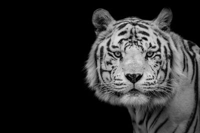 Nauzet Baez Photography
