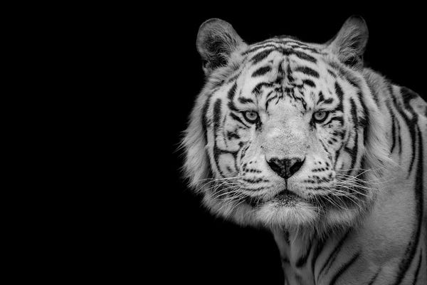 Nauzet Baez Photography