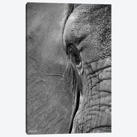 Floppy and Wrinkled Canvas Print #KJN5} by Kathy Jennings Canvas Print