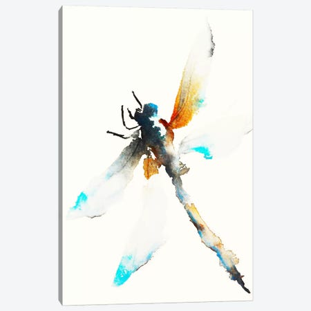 Blue & Brown Dragonfly Canvas Print #KJO1} by Karin Johannesson Art Print