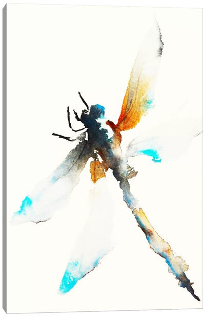 Blue & Brown Dragonfly Canvas Art Print