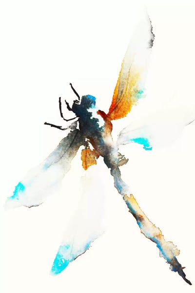 Dragonflies: Blue & Brown Dragonfly by Karin Johannesson