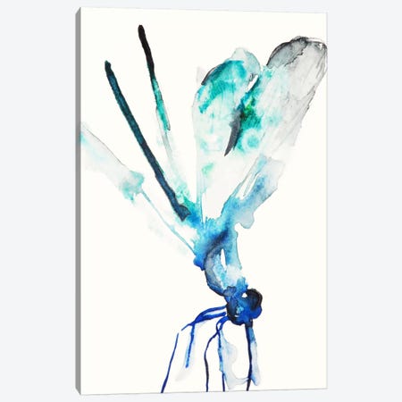 Blue & Green Dragonfly Canvas Print #KJO2} by Karin Johannesson Art Print