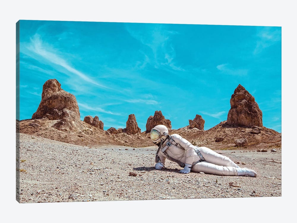 The Lonely Astronaut V by Karen Jerzyk 1-piece Canvas Wall Art