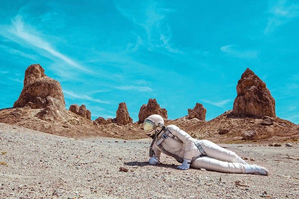 Astronomy & Space: The Lonely Astronaut V by Karen Jerzyk