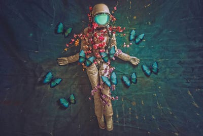 1969 III by Karen Jerzyk framed canvas print