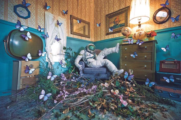 Reclaimed By Nature: The Lonely Astronaut X by Karen Jerzyk