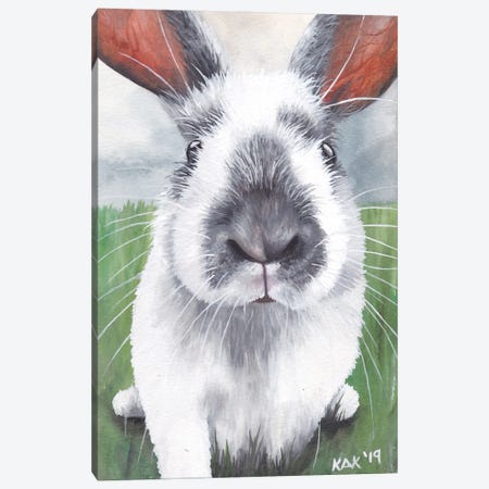 Bunny Canvas Print #KKD10} by KAK Art & Designs Canvas Artwork