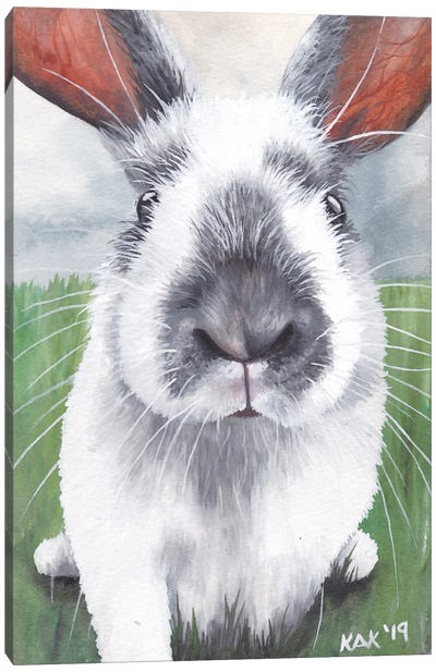 Bunny Canvas Art Print - KAK Art & Designs