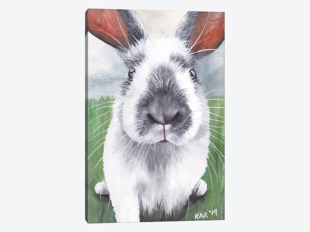 Bunny by KAK Art & Designs 1-piece Canvas Print