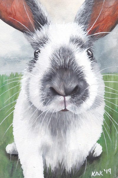 KAK Art & Designs: Bunny by KAK Art & Designs