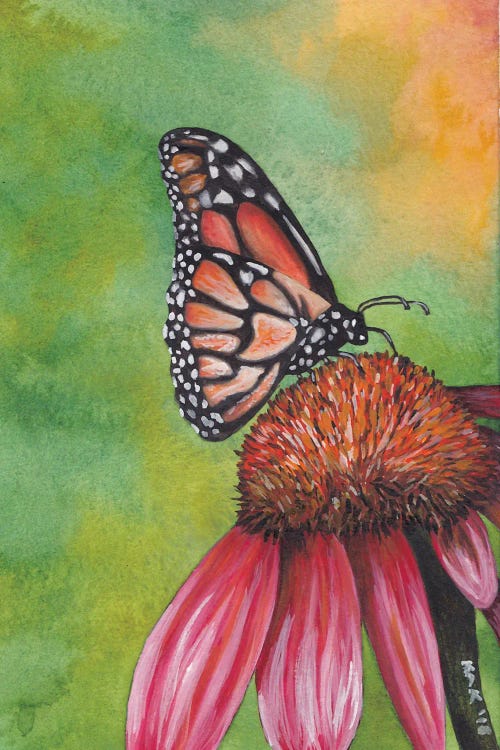 Monarch Butterfly by KAK Art & Designs wall art