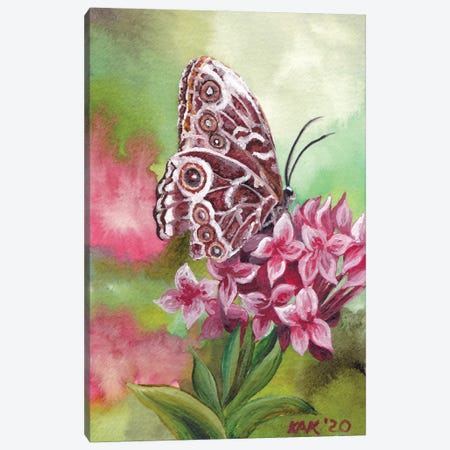 Butterfly I Canvas Print #KKD12} by KAK Art & Designs Canvas Artwork