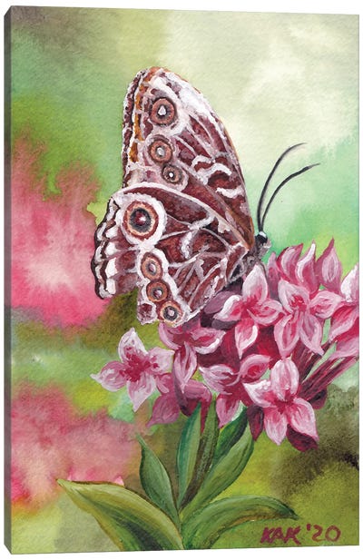 Butterfly I Canvas Art Print - KAK Art & Designs