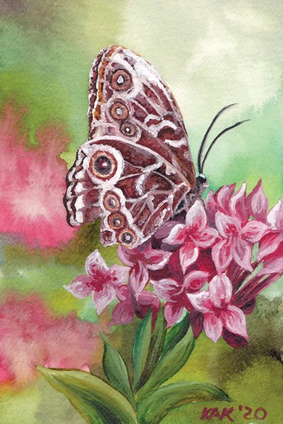 KAK Art & Designs: Butterfly I by KAK Art & Designs