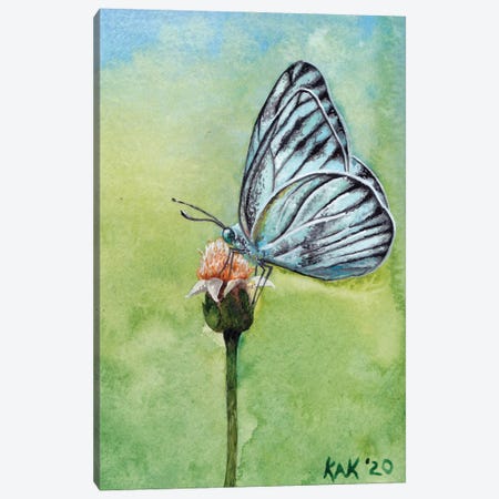 Butterfly II Canvas Print #KKD13} by KAK Art & Designs Canvas Artwork