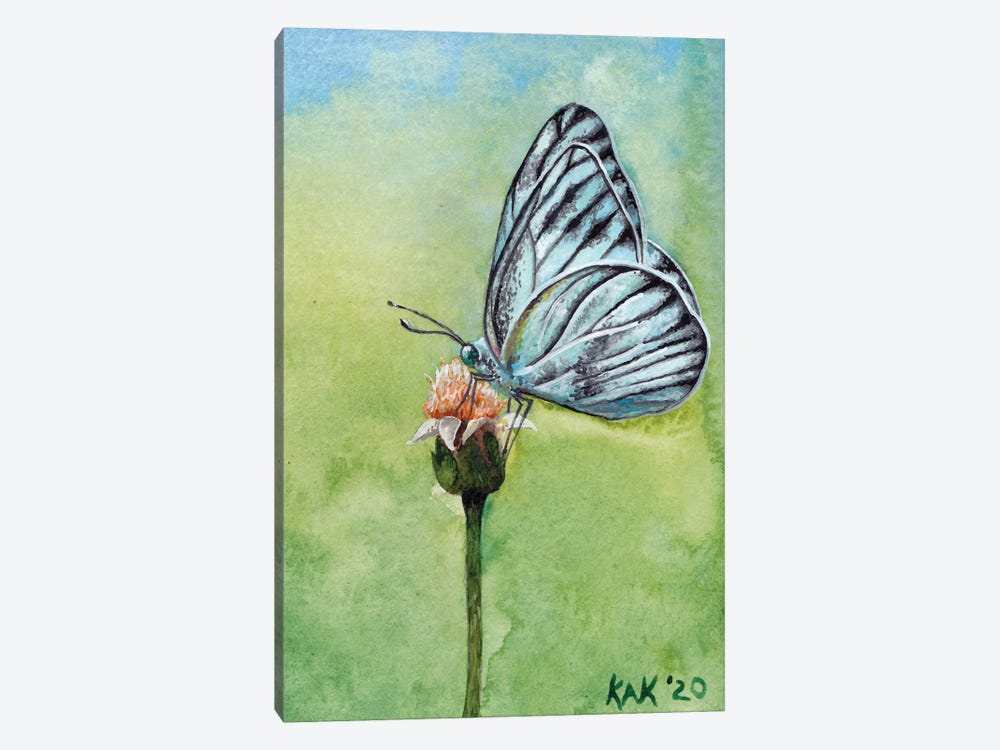 Butterfly II by KAK Art & Designs 1-piece Canvas Artwork