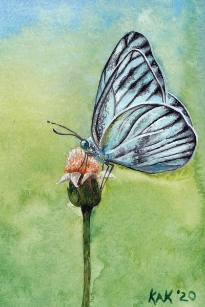 KAK Art & Designs: Butterfly II by KAK Art & Designs