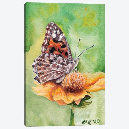 Butterfly III Canvas Print #KKD14} by KAK Art & Designs Art Print
